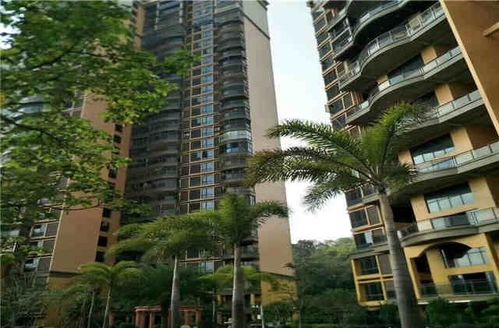 深圳小產權房與商品房 優勢與風險全面解讀